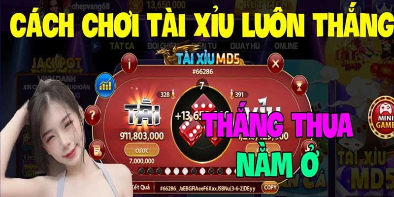 Chơi game tài xỉu online đổi thưởng tiền mặt tẹt ga cùng Go88 